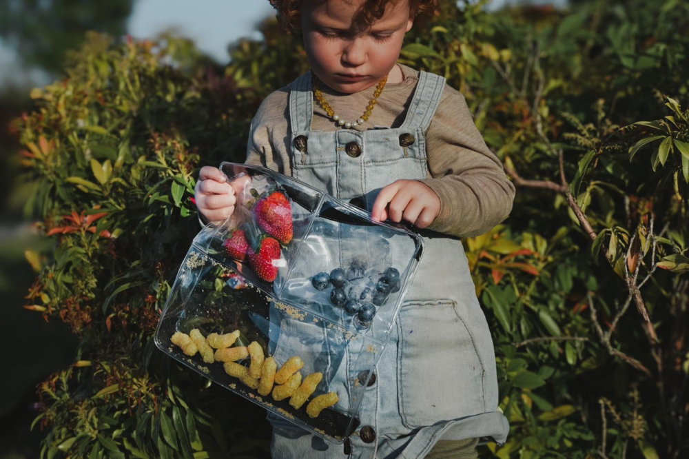 DivideNPac clear food-grade organizer with child holding fruits and vegetables - safe outdoor food storage