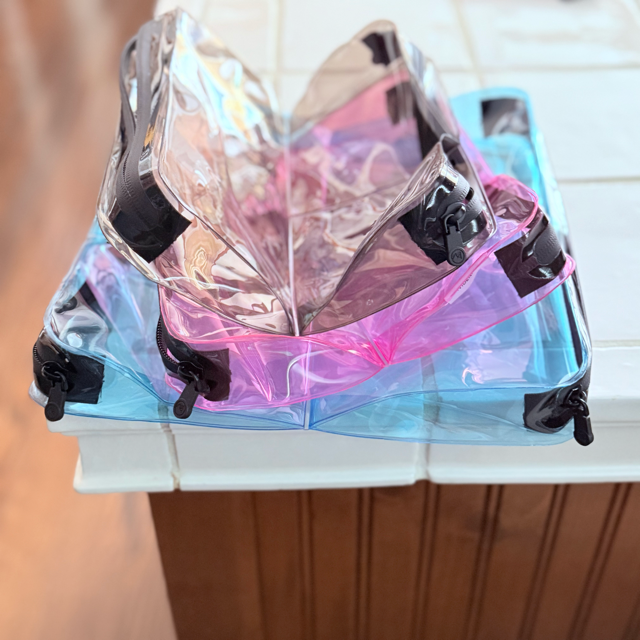 DivideNPac clear organizer with iridescent compartments - TSA approved transparent storage bag