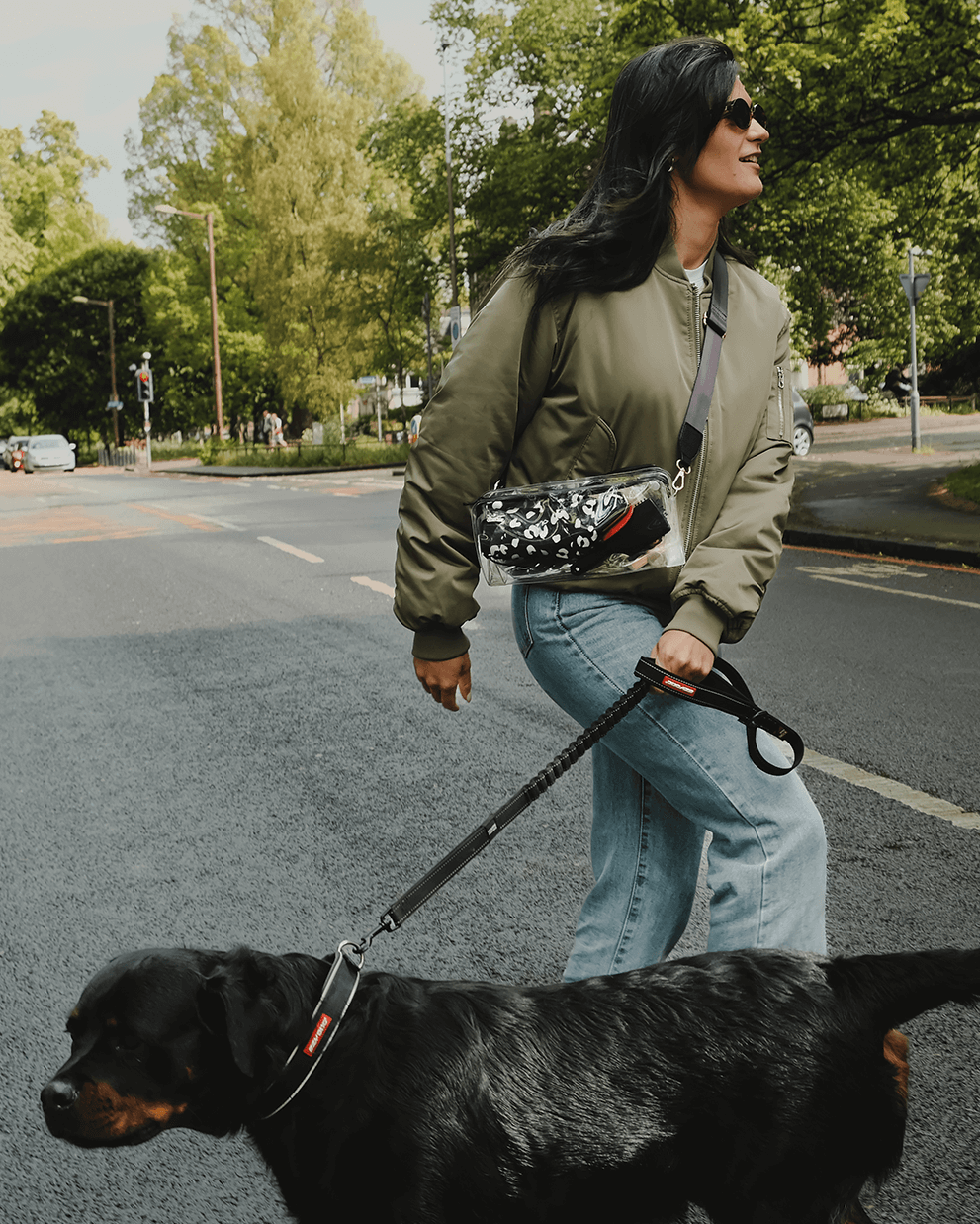 DivideNPac clear stadium bag lifestyle shot with dog walking - hands-free venue compliant crossbody bag